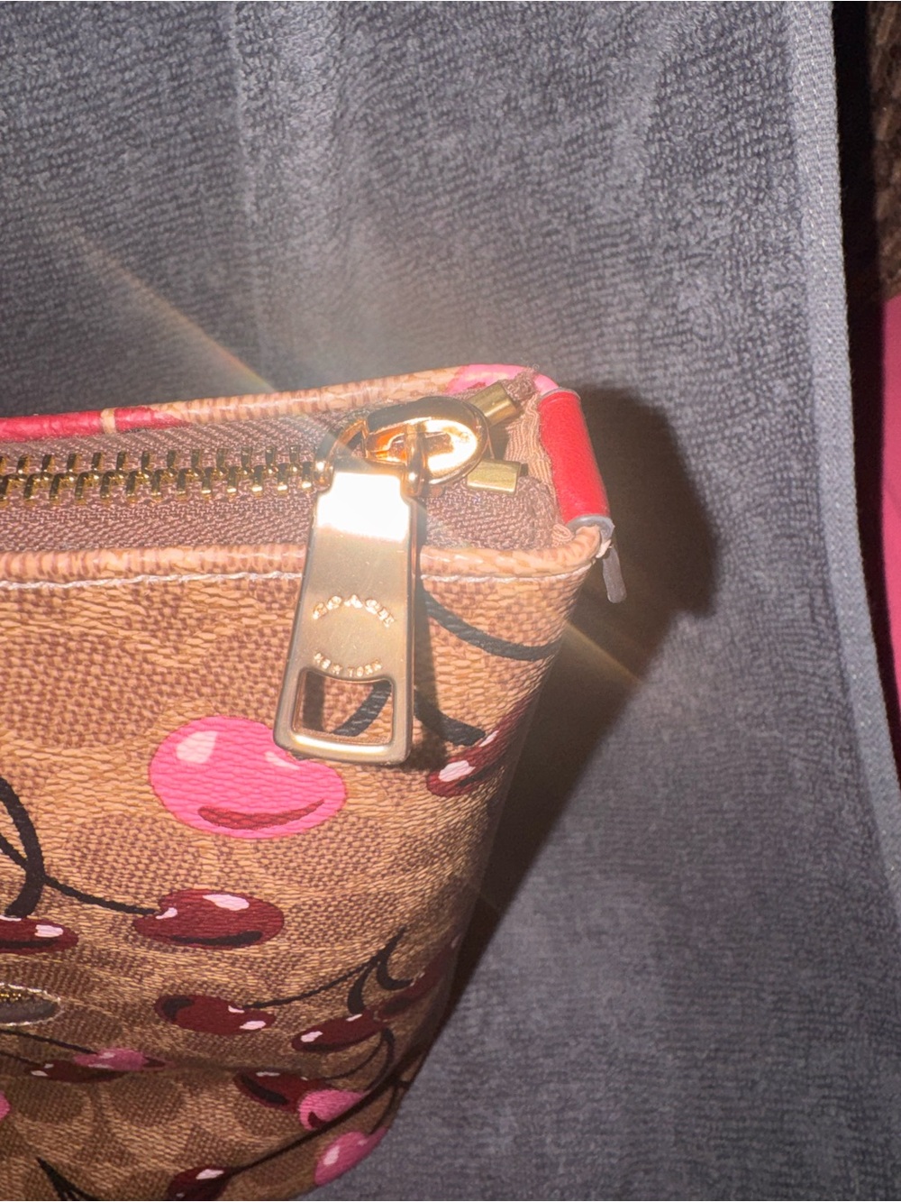 Coach Gallery Tote brown signature canvas with cherry print - Picture 5 of 12